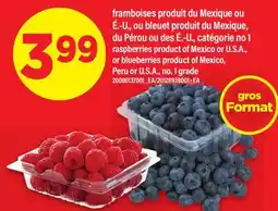 Maxi FRAMBOISES OU BLEUET | RASPBERRIES OR BLUEBERRIES offer