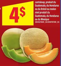 Maxi CANTALOUP, OU MELON offer