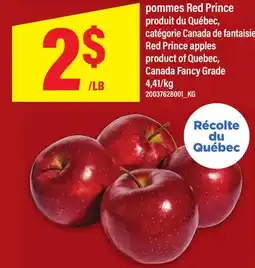 Maxi POMMES RED PRINCE | RED PRINCE APPLES offer
