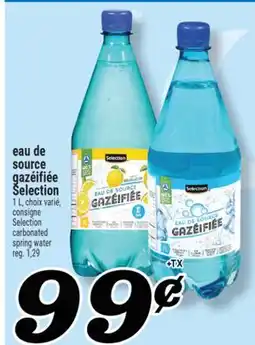 Marché Richelieu EAU DE SOURCE GAZÉIFIÉE SELECTION | SELECTION CARBONATED SPRING WATER offer
