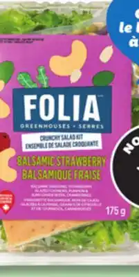 IGA FOLIA CRUNCHY SALAD KIT offer