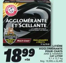 IGA ARM & HAMMER CAT LITTER offer