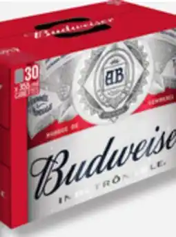 IGA BUDWEISER BEER offer