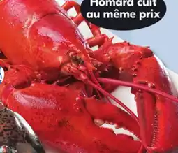 IGA COOKED FRESH LOBSTER offer
