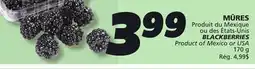IGA BLACKBERRIES offer