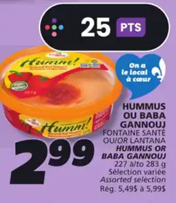 IGA FONTAINE SANTÉ OR LANTANA HUMMUS OR BABA GANNOUJ offer