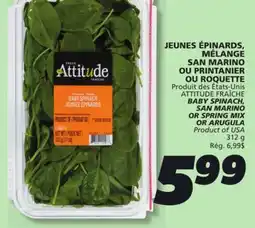 IGA ATTITUDE BABY SPINACH, SAN MARINO OR SPRING MIX OR ARUGULA offer
