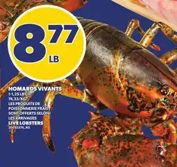 Provigo HOMARDS VIVANTS, 1-1,25 LB CH. | LIVE LOBSTERS offer