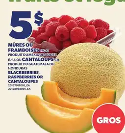Provigo MÛRES OU FRAMBOISES, 170 G OU CANTALOUPS, CH | BLACKBERRIES, RASPBERRIES OR CANTALOUPES offer