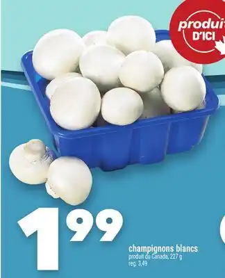 Marche Ami CHAMPIGNONS BLANCS offer