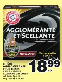 Marches Tradition ARM & HAMMER CLUMPING CAT LITTER offer
