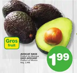 Marches Tradition HASS AVOCADO offer