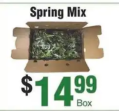 Silverstein's Produce Spring Mix offer