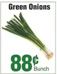 Silverstein's Produce Green Onions offer