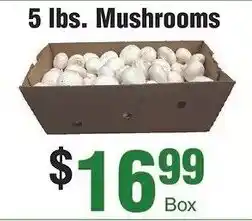 Silverstein's Produce Mushrooms offer