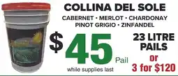 Silverstein's Produce Collina del sole offer