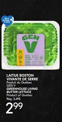 IGA GEN V GREENHOUSE LIVING BUTTER LETTUCE offer