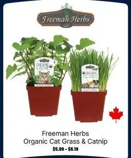 Ren’s Pets Depot Freeman Herbs Organic Cat Grass & Catnip offer