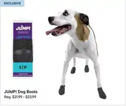 Petvalu JUMP! Dog Boots offer