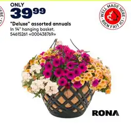RONA RONA Deluxe assorted annuals offer