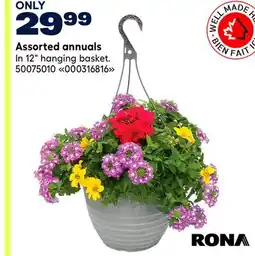 RONA RONA Assorted annuals offer