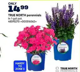 RONA TRUE NORTH perennials offer