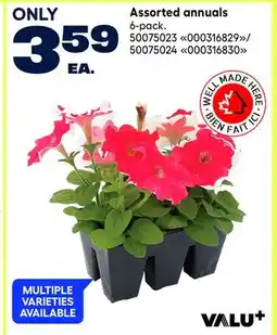 RONA VALU+ Assorted annuals offer