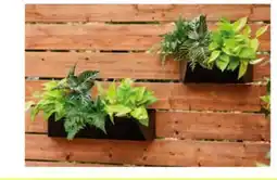 RONA Hoft 15 planter offer