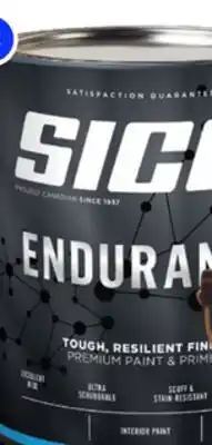 RONA SICO Endurance Paint offer
