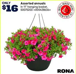 RONA Assorted annuals offer