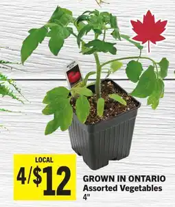 Foodland Assorted Vegetables offer