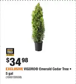 Home Depot EXCLUSIVE VIGORO Emerald Cedar Tree • 5 gal offer
