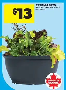 Real Canadian Superstore PC SALAD BOWL, 10 INCH offer