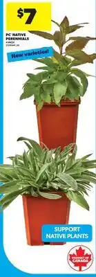 Real Canadian Superstore PC NATIVE PERENNIALS, 4 INCH offer