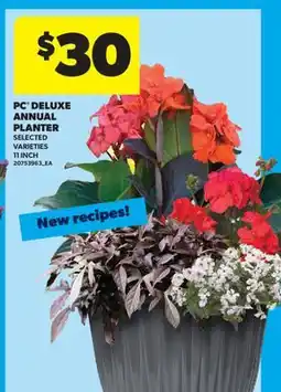 Real Canadian Superstore PC DELUXE ANNUAL PLANTER, 11 INCH offer