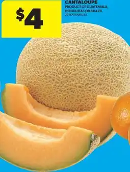 Real Canadian Superstore CANTALOUPE offer