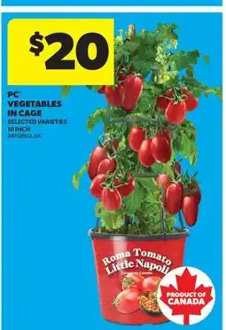 Real Canadian Superstore PC VEGETABLES IN CAGE offer