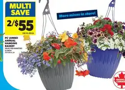Real Canadian Superstore PC JUMBO ANNUAL HANGING BASKET, 12 INCH offer