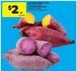 Real Canadian Superstore JAPANESE SWEET YAM PRODUCT OF CANADA OR PURPLE UBE YAM offer