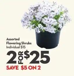 Longo's Assorted Flowering Shrubs offer