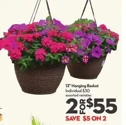 Longo's 13 Hanging Basket offer