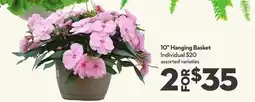 Longo's 10 Hanging Basket offer