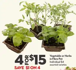 Longo's Vegetable or Herbs in Fibre Pot offer