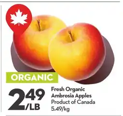 Longo's Fresh Organic Ambrosia Apples offer