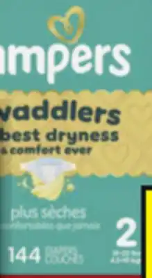 Food Basics PAMPERS SWADDLERS DIAPERS offer