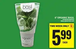 Food Basics 6 ORGANIC BASIL offer