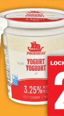 Food Basics CEDAR OR PHOENICIA YOGURT offer