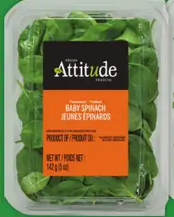 Food Basics ATTITUDE SALADS offer