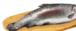 Food Basics FRESH ATLANTIC SALMON PORTIONS OR WHOLE RAINBOW TROUT FISH offer