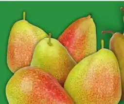 Food Basics FORELLE OR BOSC PEARS offer